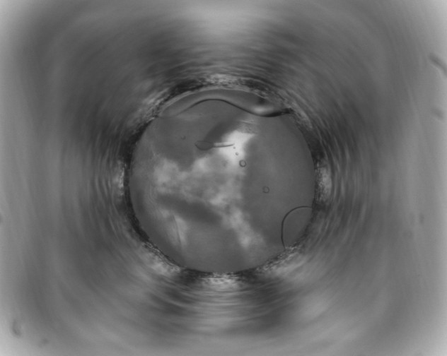 X0000096490668200802071944