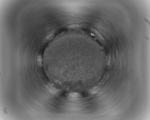 X0000096490669200802071944