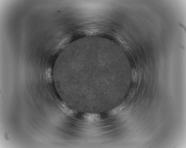 X0000096490670200802071944