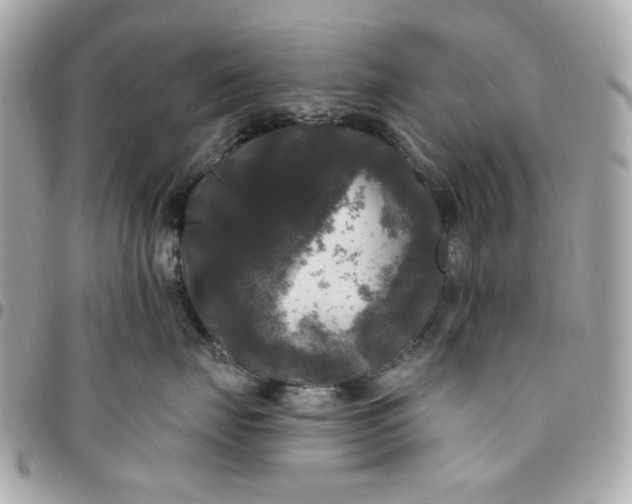 X0000096490671200802071944