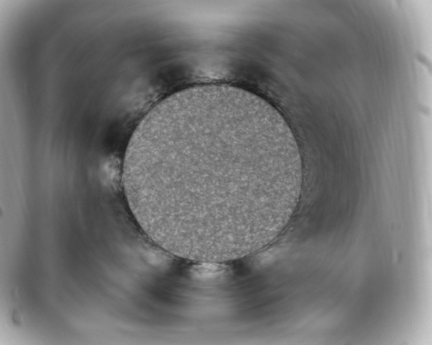 X0000096490672200802071944