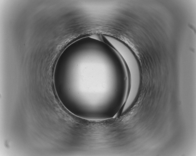 X0000096490673200802071943