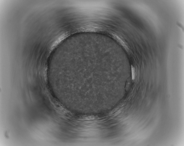 X0000096490675200802071943