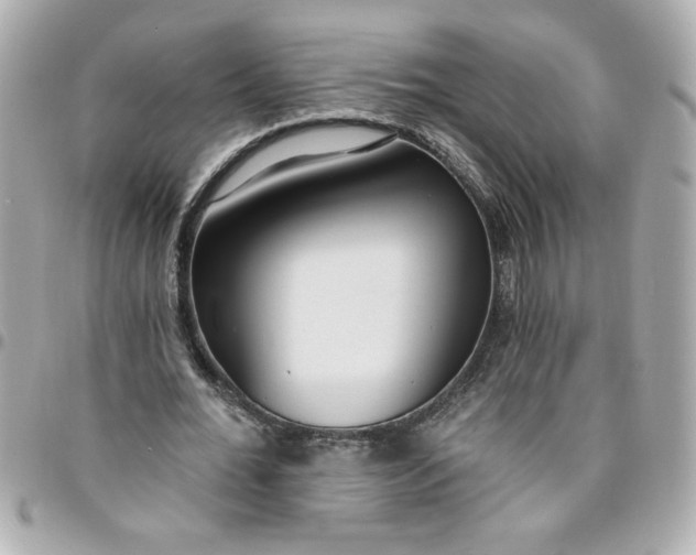 X0000096490676200802071943