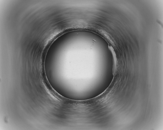 X0000096490677200802071943