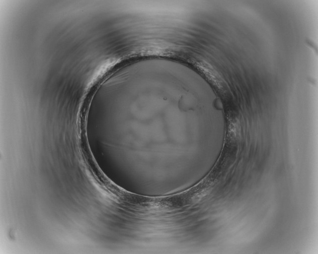 X0000096490678200802071943