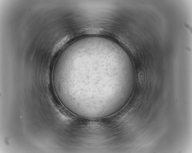 X0000096490682200802071943