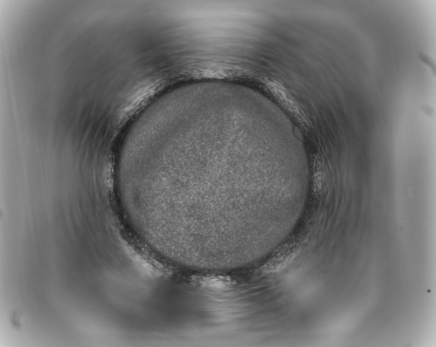 X0000096490683200802071943