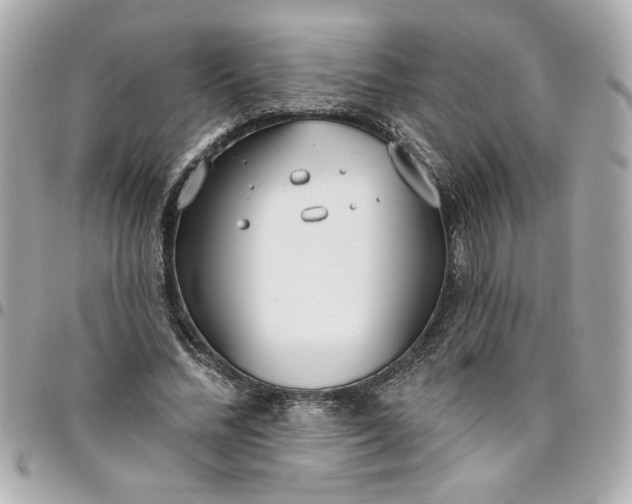 X0000096490684200802071943