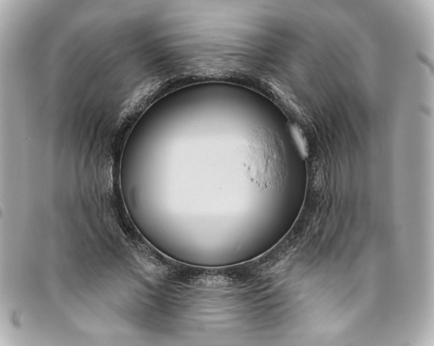 X0000096490685200802071943