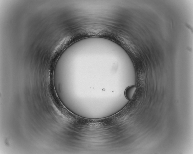 X0000096490686200802071943