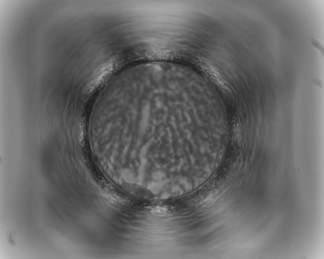 X0000096490687200802071943