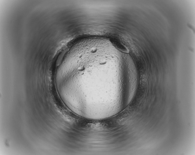 X0000096490688200802071943