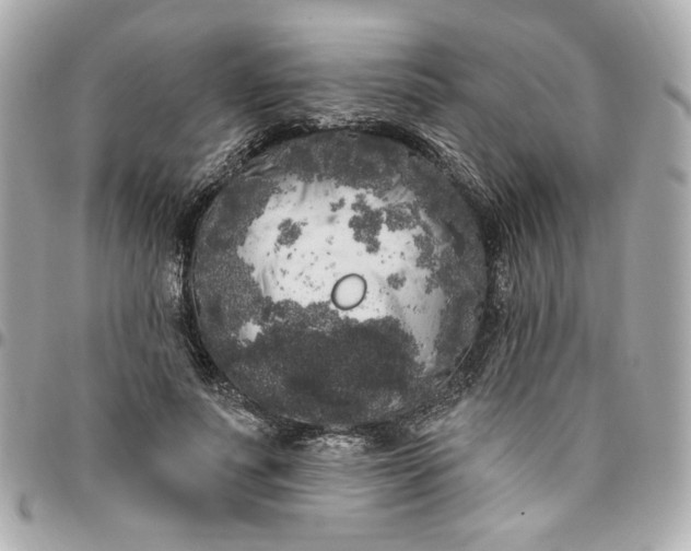 X0000096490691200802071943