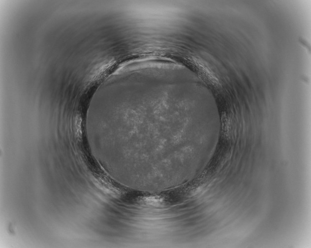 X0000096490692200802071943