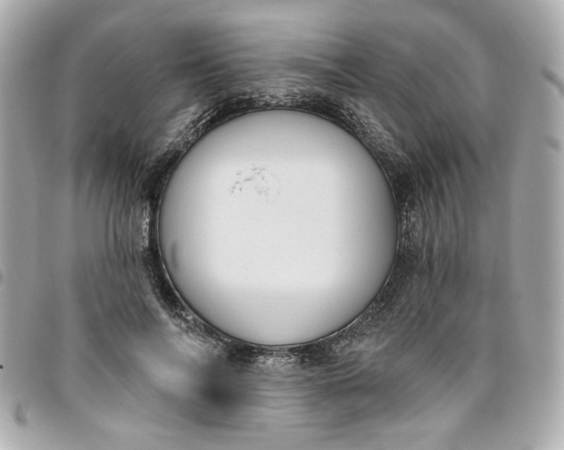 X0000096490694200802071943