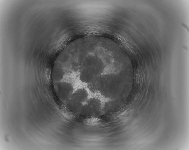 X0000096490695200802071943