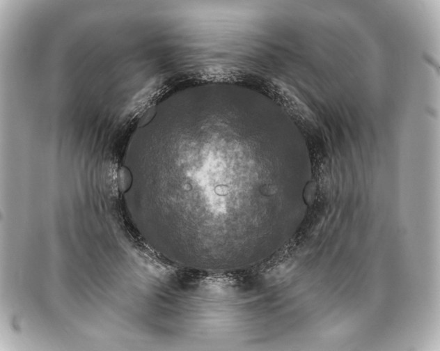 X0000096490696200802071943