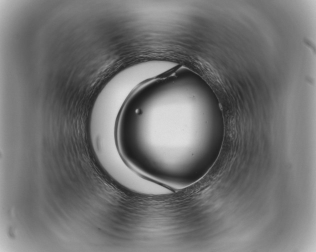 X0000096490697200802071943