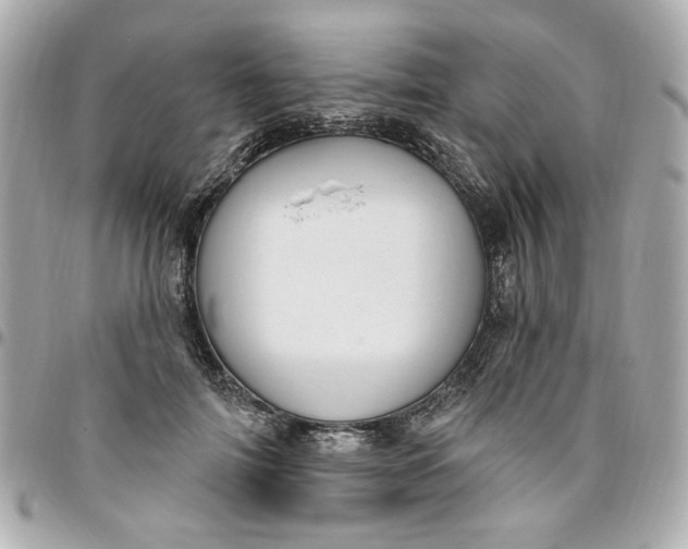 X0000096490698200802071943