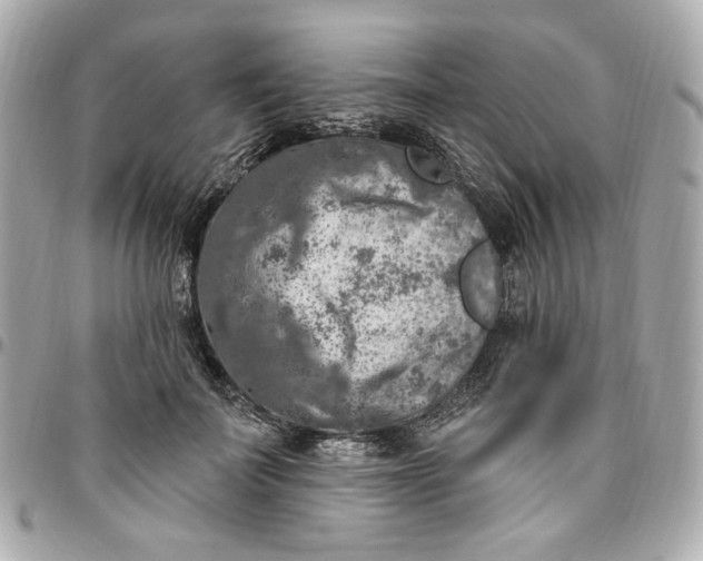 X0000096490699200802071943