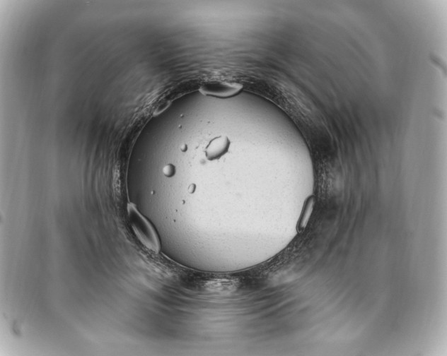 X0000096490700200802071943