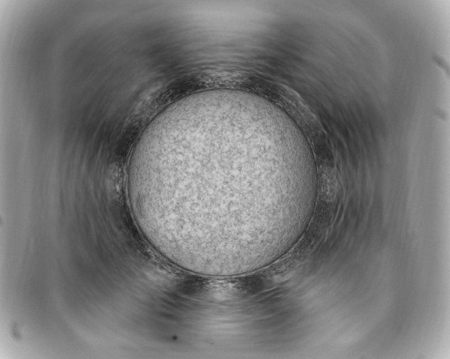 X0000096490701200802071943