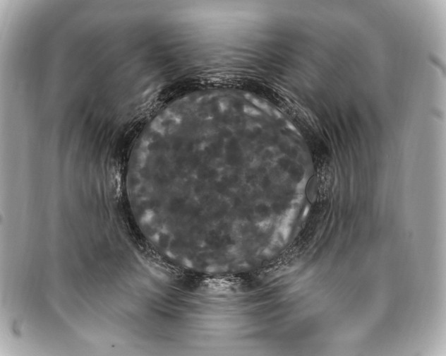 X0000096490703200802071943