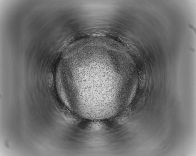 X0000096490704200802071943