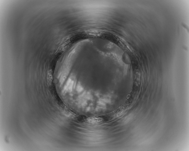 X0000096490707200802071942