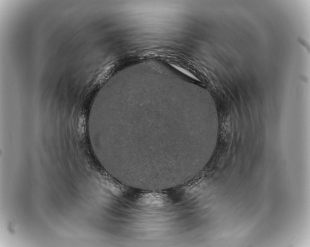 X0000096490708200802071942