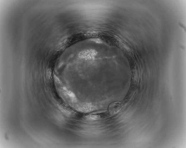 X0000096490711200802071942