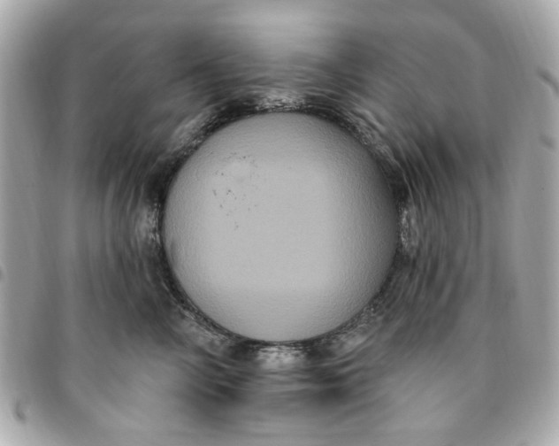 X0000096490714200802071942