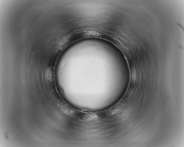 X0000096490715200802071942