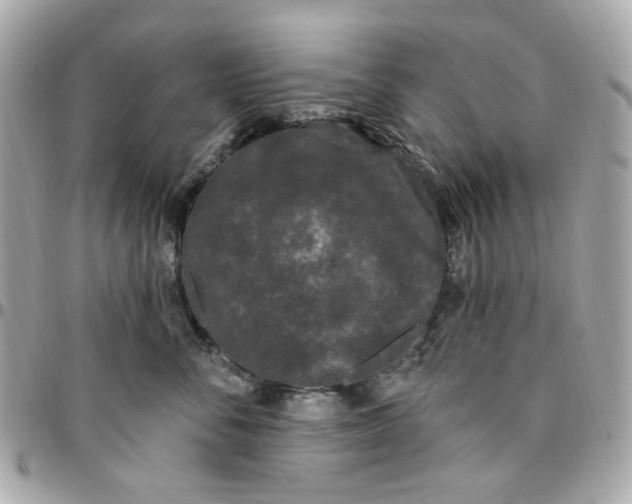 X0000096490716200802071942