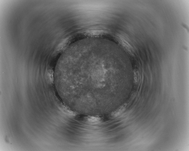 X0000096490718200802071942