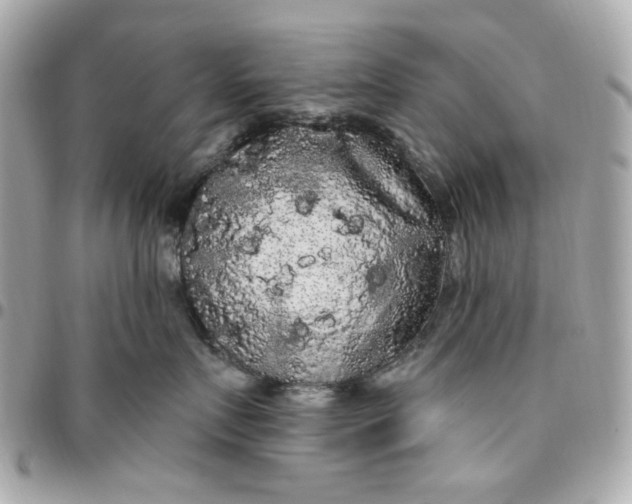 X0000096490719200802071942