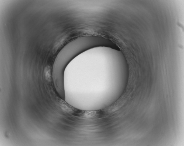 X0000096490720200802071942