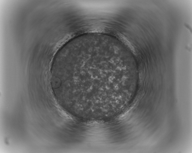 X0000096490721200802071941