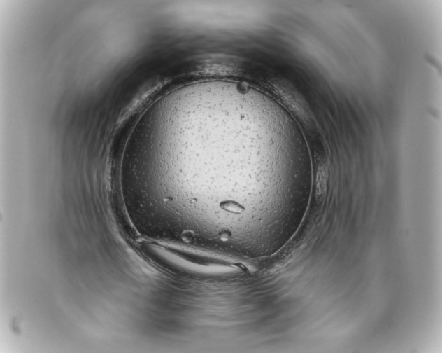 X0000096490722200802071941