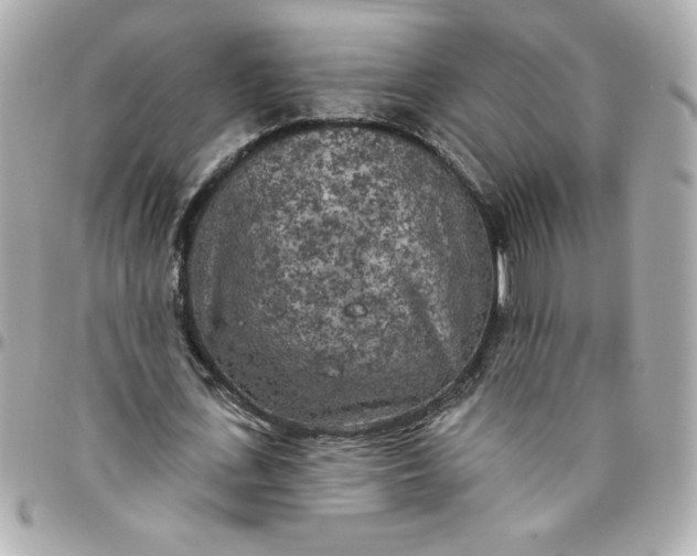 X0000096490723200802071942