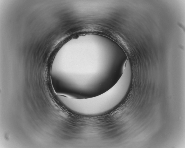 X0000096490724200802071942