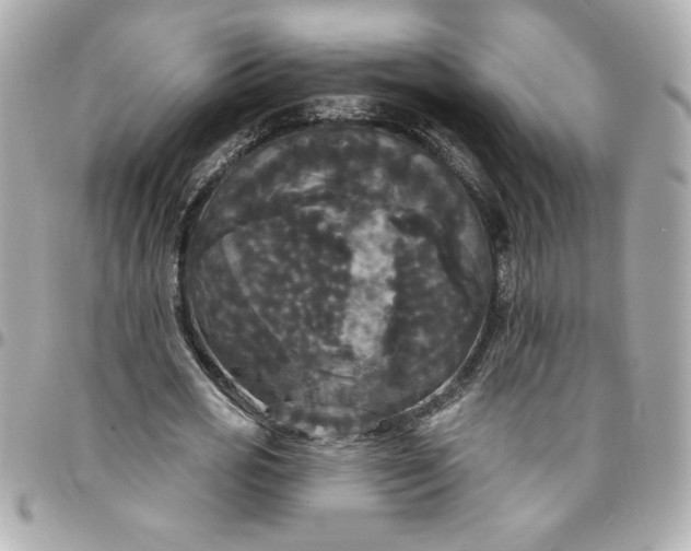 X0000096490725200802071942