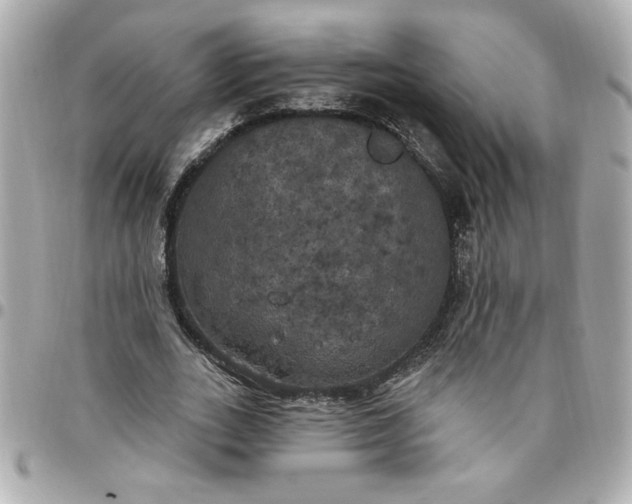 X0000096490727200802071942