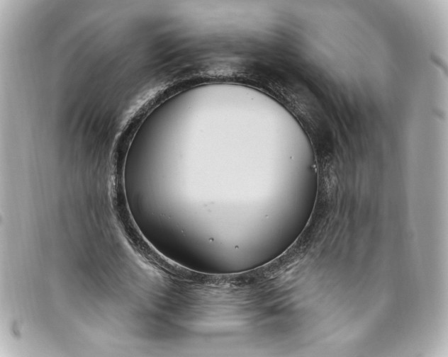 X0000096490728200802071942