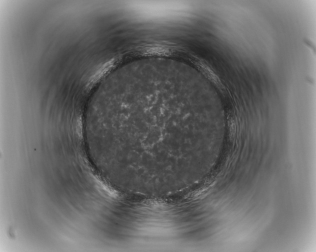 X0000096490729200802071942