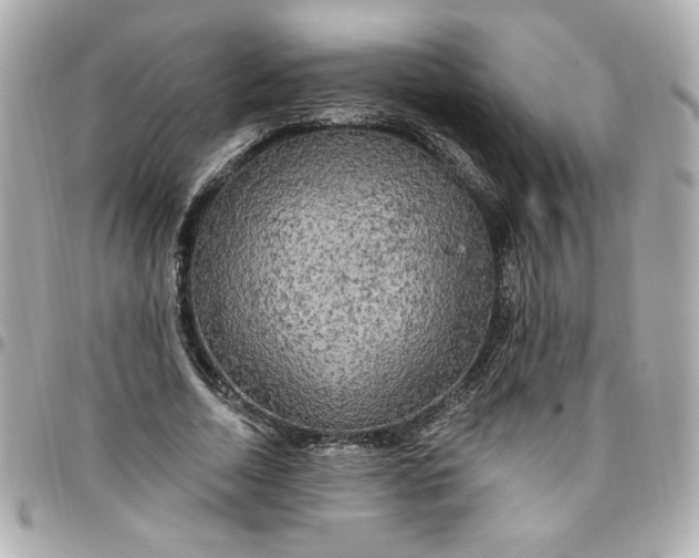 X0000096490730200802071942