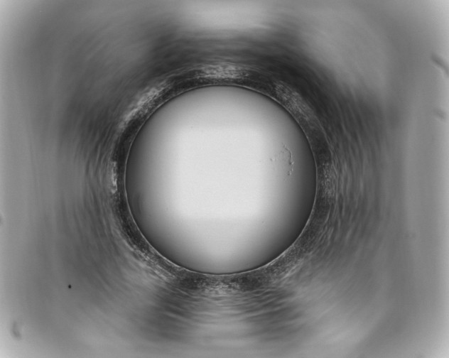 X0000096490731200802071942