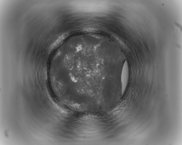 X0000096490734200802071942