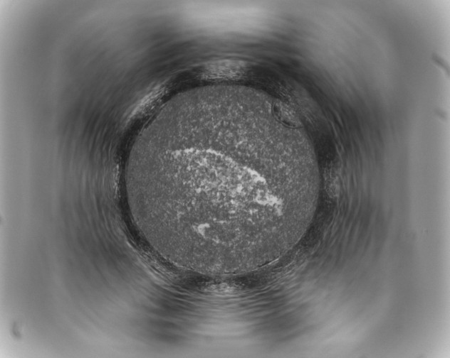 X0000096490735200802071942